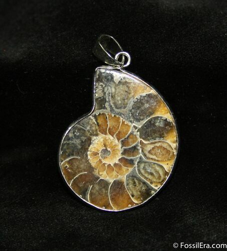 Ammonite Pendant #675
